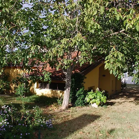 Casale13
