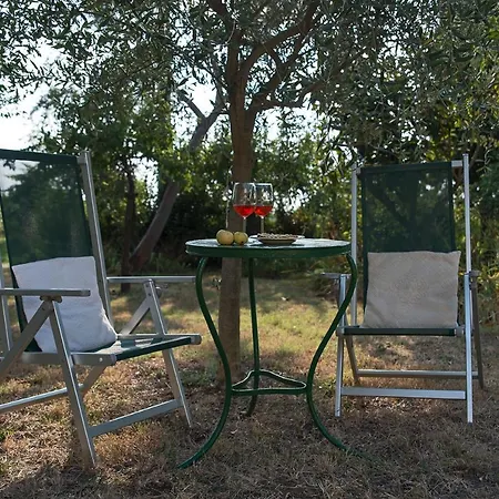 Dom wakacyjny Casale13