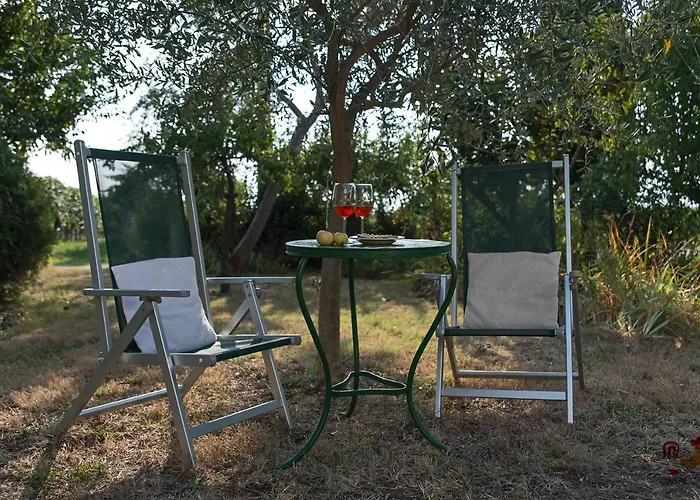 Dom wakacyjny Casale13